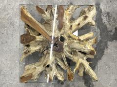 Modern Organic Teak Root Coffee Sofa Table With Glass Plate IDN 2022 - 3399011