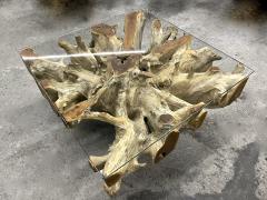 Modern Organic Teak Root Coffee Sofa Table With Glass Plate IDN 2022 - 3399013