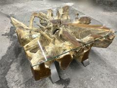 Modern Organic Teak Root Coffee Sofa Table With Glass Plate IDN 2022 - 3399015