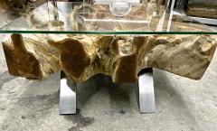 Modern Organic Teak Root Coffee Sofa Table With Glass Plate IDN 2022 - 3399016