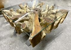 Modern Organic Teak Root Coffee Sofa Table With Glass Plate IDN 2022 - 3399017