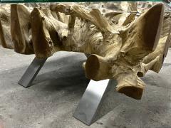 Modern Organic Teak Root Coffee Sofa Table With Glass Plate IDN 2022 - 3399021