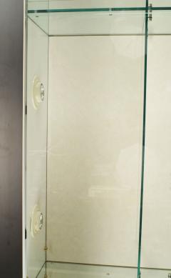 Modern Steel and Glass Showcase Cabinet - 4639741