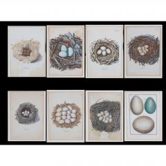 Modern Sukrid Thareenak Mixed Media Oil Painting - 4642925