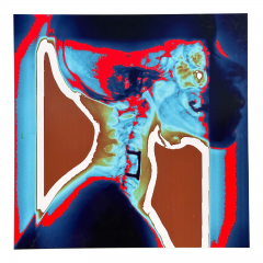 Modern Techno Skeleton Art of a Skull on Aluminum - 3499699