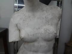 Monumental 19th Century French Plaster Torso of Venus - 3649437