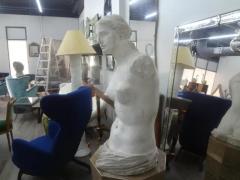 Monumental 19th Century French Plaster Torso of Venus - 3649462