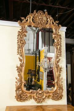 Monumental Louis XV Style Giltwood Mirror Exquisite Details - 2978658