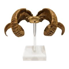 Mounted Ram Horns on Lucite 1970s - 1165205