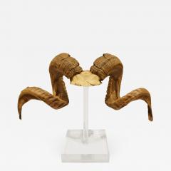 Mounted Ram Horns on Lucite 1970s - 1167143