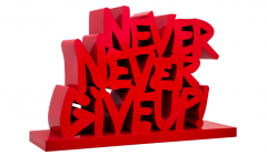 Mr Brainwash Never never give up  - 4339164