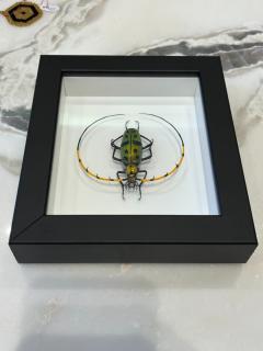 Murano Glass Beetle by Emanuel Toffolo - 2842900