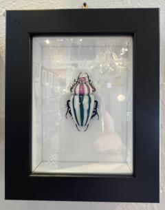 Murano Glass Beetle by Toffolo - 2837501