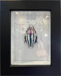 Murano Glass Beetle by Toffolo - 2838454