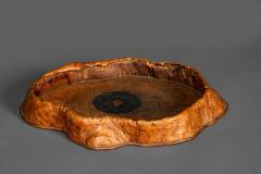 Natural Burl Wood Tray - 3837103