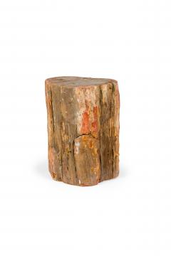 Natural Live Edge Petrified Wood Stump - 4669613