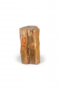 Natural Live Edge Petrified Wood Stump - 4669614