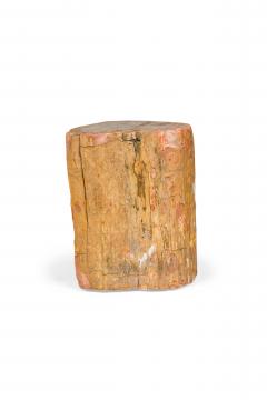 Natural Live Edge Petrified Wood Stump - 4669615