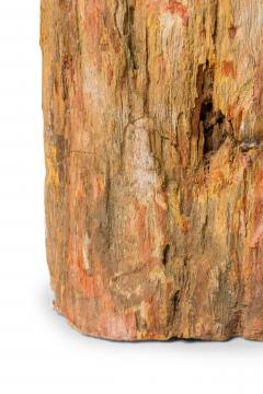 Natural Live Edge Petrified Wood Stump - 4669618