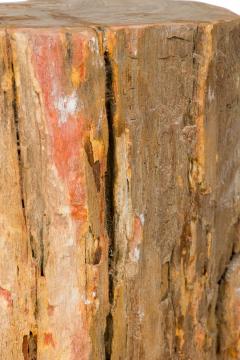 Natural Live Edge Petrified Wood Stump - 4669619