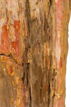 Natural Live Edge Petrified Wood Stump - 4669620