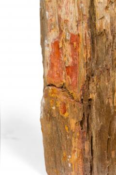 Natural Live Edge Petrified Wood Stump - 4669621