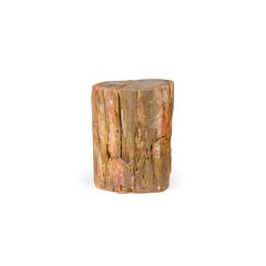 Natural Live Edge Petrified Wood Stump - 4734372