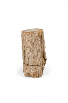 Natural Live Edge Petrified Wood Stump - 4669923