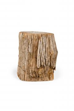 Natural Live Edge Petrified Wood Stump - 4669924