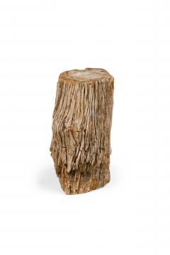 Natural Live Edge Petrified Wood Stump - 4669925