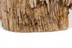 Natural Live Edge Petrified Wood Stump - 4669929