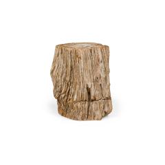 Natural Live Edge Petrified Wood Stump - 4734388