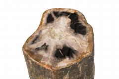 Natural Live Edge Petrified Wood Stump - 4669936