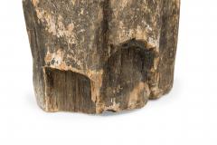 Natural Live Edge Petrified Wood Stump - 4669938