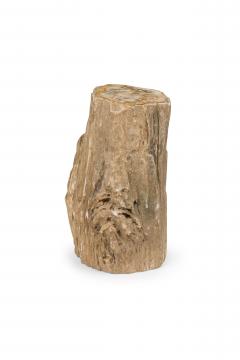 Natural Live Edge Petrified Wood Stump - 4669942