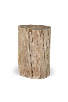 Natural Live Edge Petrified Wood Stump - 4669953