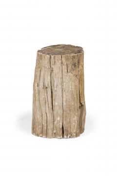 Natural Live Edge Petrified Wood Stump - 4669954