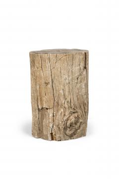 Natural Live Edge Petrified Wood Stump - 4669955