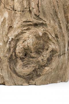 Natural Live Edge Petrified Wood Stump - 4669958