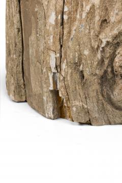 Natural Live Edge Petrified Wood Stump - 4669959