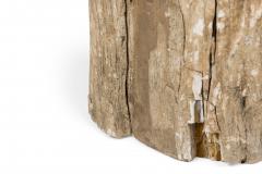 Natural Live Edge Petrified Wood Stump - 4669960