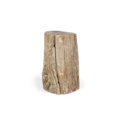 Natural Live Edge Petrified Wood Stump - 4734391