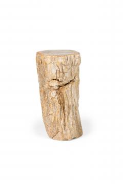 Natural Live Edge Petrified Wood Stump - 4669965