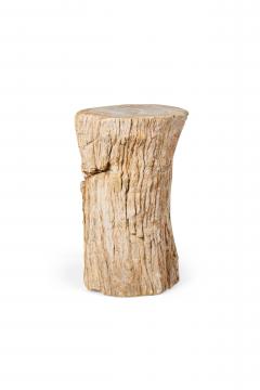 Natural Live Edge Petrified Wood Stump - 4669966