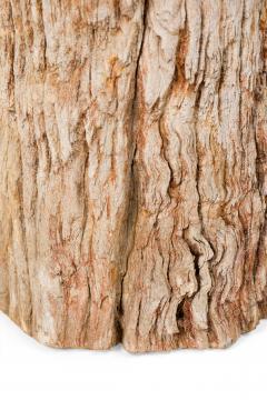 Natural Live Edge Petrified Wood Stump - 4669969