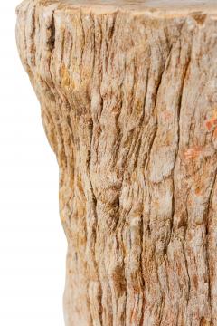 Natural Live Edge Petrified Wood Stump - 4669970
