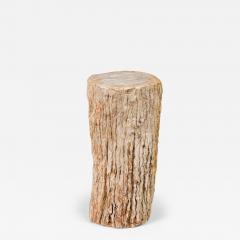 Natural Live Edge Petrified Wood Stump - 4734502