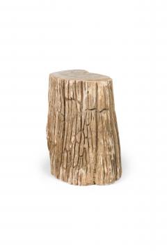 Natural Live Edge Petrified Wood Stump - 4669973