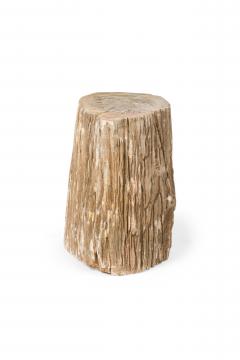 Natural Live Edge Petrified Wood Stump - 4669975