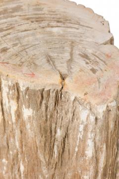 Natural Live Edge Petrified Wood Stump - 4669978